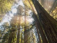Russian River Activities