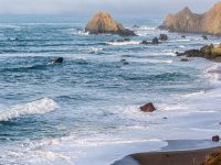 Russian River Activities